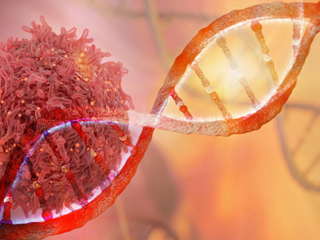Dna Strand Cancer Cell Oncology
