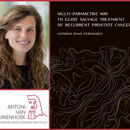 Collage Catarina Fernandes Rood