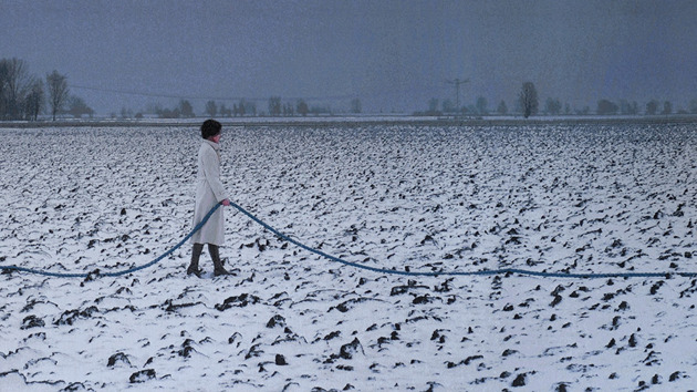 Jenny Ymker Landscape In White T