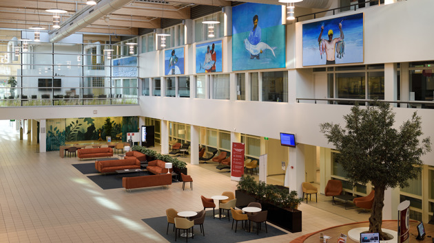 Michiel Hogenboom Wehn The Sunhits The Sky RT