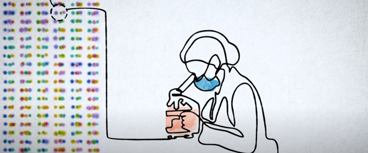 Whole Genome Sequincing Onderzoek