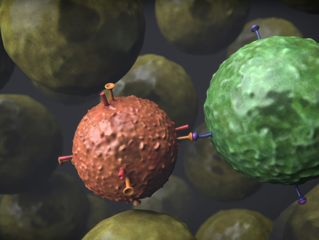 Immuuntherapie Nki Still