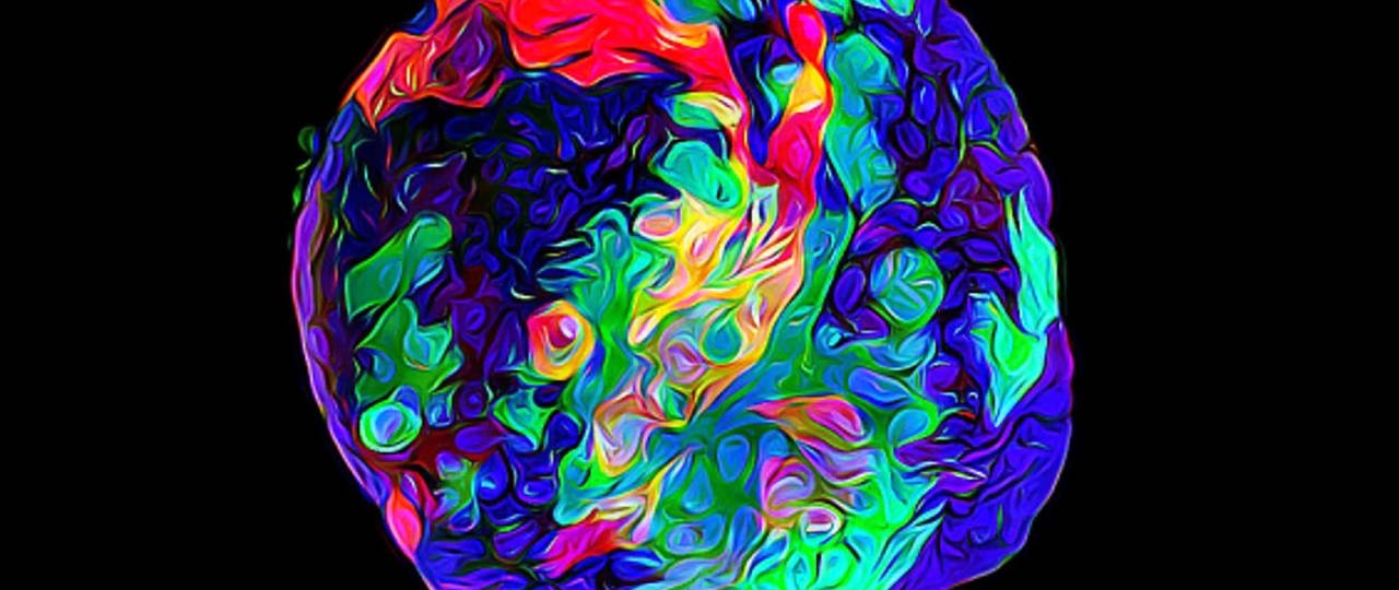 1 Maeve Grifhorst Organoid Sm