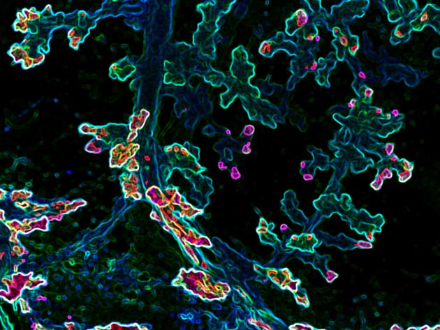 Nr 2B Emiliapulver Get Your Ducts In A Row Sm