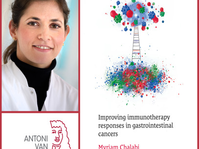 Collage Myriam Chalabi Rood