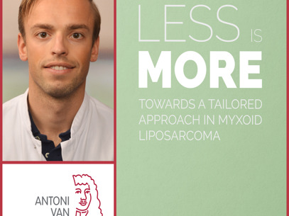 Collage Jules Lansu Rood