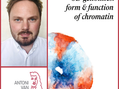 Collage Robin Vder Weide Rood