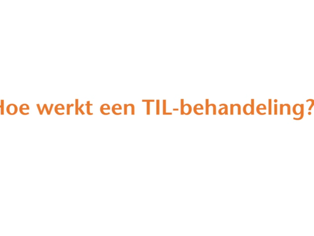 Til Hoe Werkt Het Still