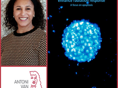 Collage Shuraila Zerp Rood