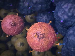 Celtherapie NKI Stil