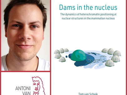 Collage Tom V Schaik Rood