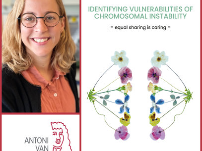 Collage Louise Janssen Rood