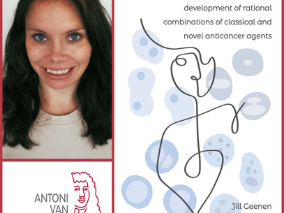 Collage Jill Geenen Rood