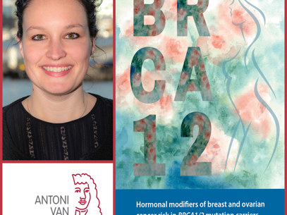 Collage Lieske Schrijver Rood