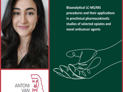 Collage Paniz Heydari Rood