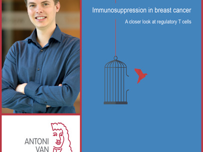 Collage Kevin Kos Rood