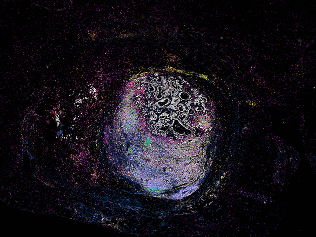 2 Karen Van Der Sluis Interpolated2