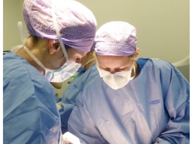 Trofoblast Voorhetgesprek 1 Gynaecologen