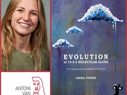 Collage Emira Visser Rood