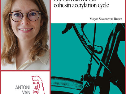 Collage Marjon V Ruiten Rood