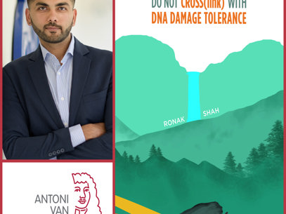 Collage Ronak Shah Rood