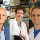 Voest, Visser En Rheenen