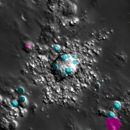 Picture Arnoldus Et Al