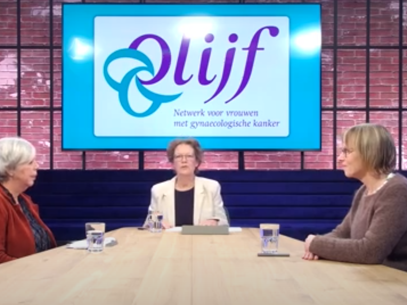 Webinar Willemijn Van Driel