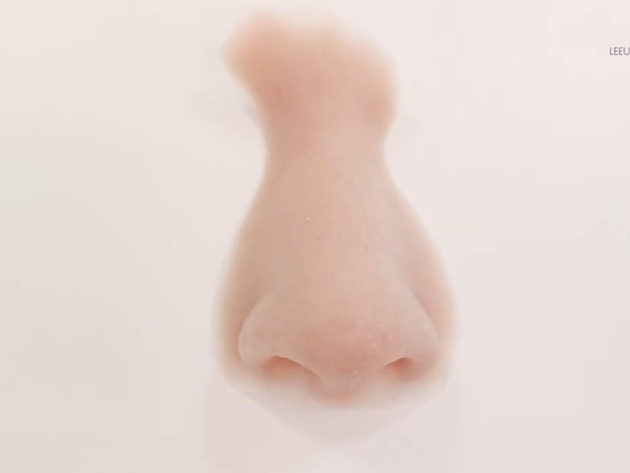 Dagelijkse Schoonmaak Prothese