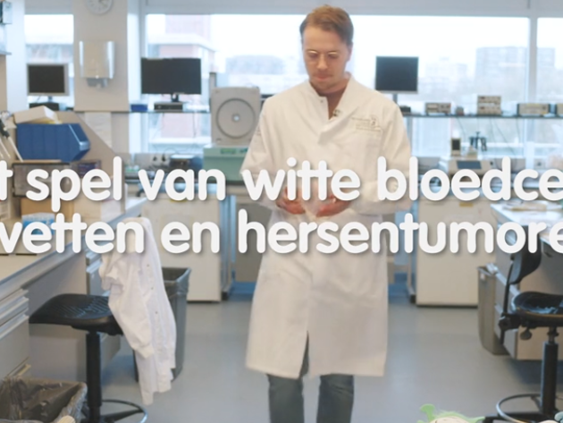 Video AVL Prijs 2024