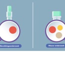Still Mtfit Study Animation 1 Vs 3 Eiwitten