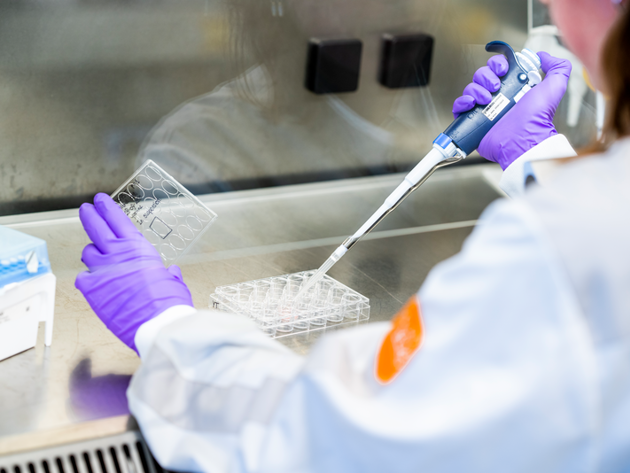 Lab met reageerbuisjes NKI