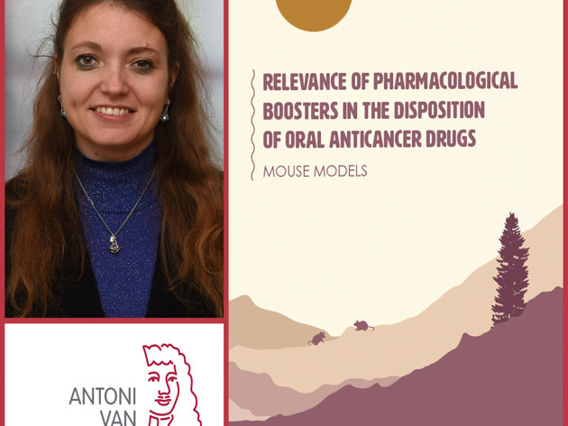 Collage Nancy Loos Rood