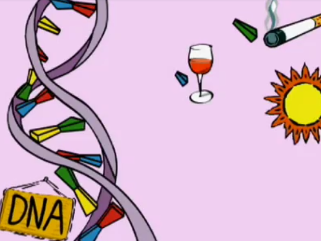 Klokhuis Kinderen Still 1