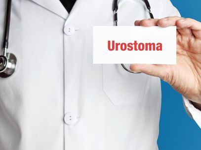 Adobestock 350113419