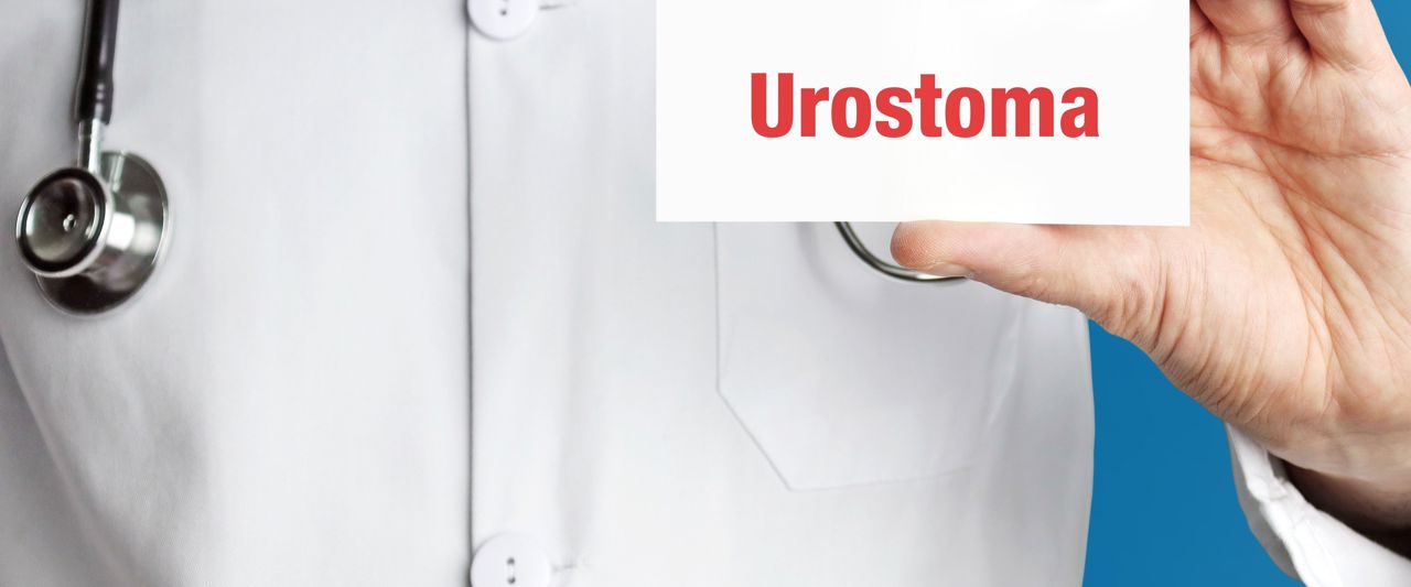 Adobestock 350113419